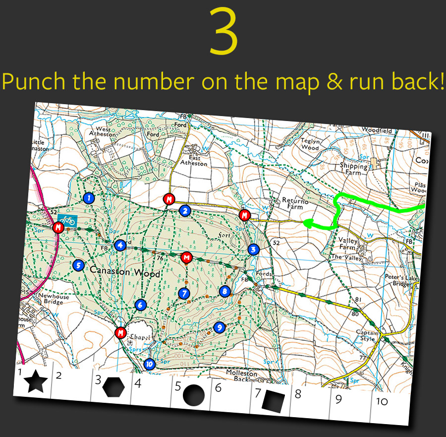 The Half Marathon